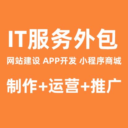 IT服务外包的图标
